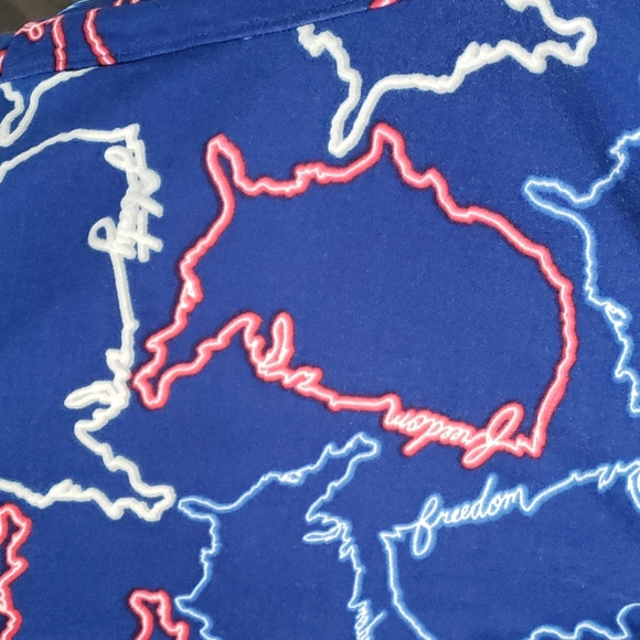 🇺🇲LulaRoe One Size (8-10) leggings USA Liberty, Freedom Special Print. EUC. - Picture 3 of 6